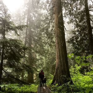 Meet your Posher, Perle